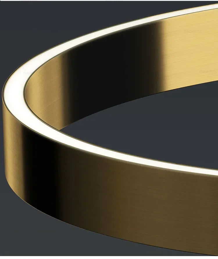 Ring Fishing Floor Lamp Room Decor Golden Long Pole Modern Simple LED Minimalist Light Luxury Designer Vertical Table Lamps