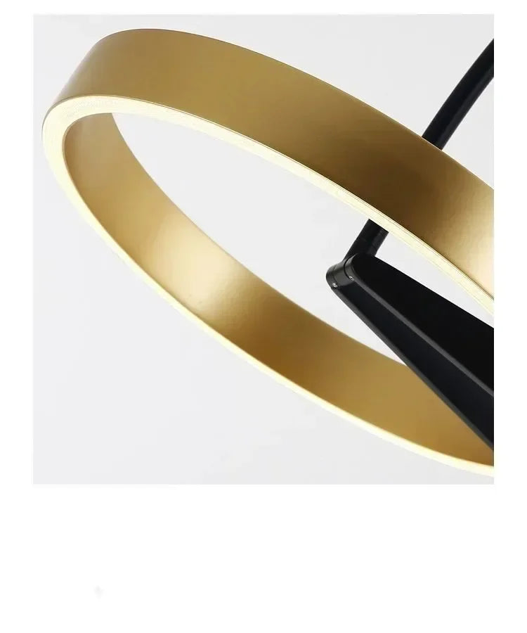 Ring Fishing Floor Lamp Room Decor Golden Long Pole Modern Simple LED Minimalist Light Luxury Designer Vertical Table Lamps